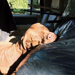 Meet your Posher, Erin